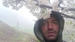 Erzurum'da bahar dallarna kar yad