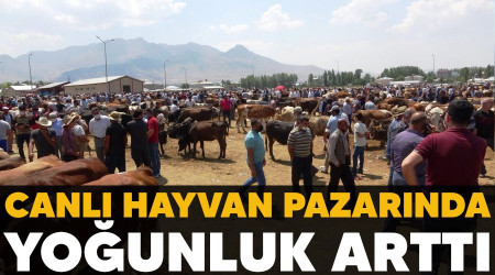 Canlı hayvan pazarında yoğunluk arttı