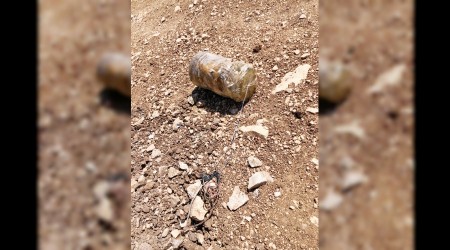 Yola tuzaklanan 2 EYP imha edildi