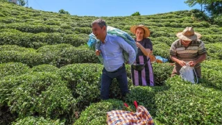 CHP Genel Başkanı Özgür Özel Rize'de Çay Mitingi düzenledi