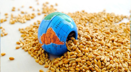 Gıda fiyatları bizde artarken, dünyada sabit kaldı