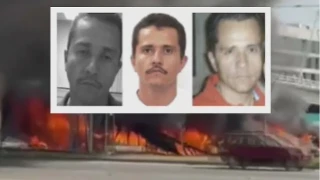 Meksika'da öldürülen kartel liderine, sevgilisi takip edilerek ulaşılmış