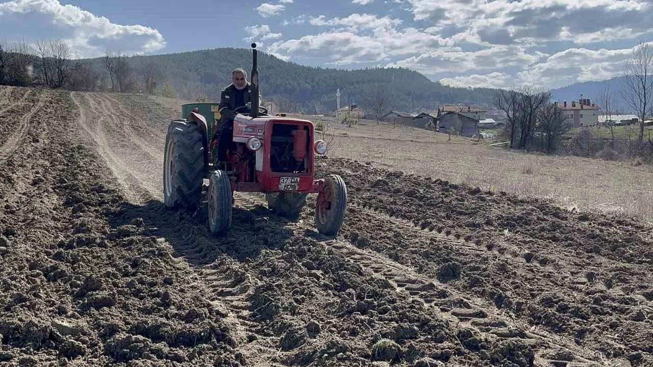 12 bin yllk siyez Kastamonu'da toprakla buluturuldu