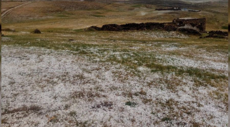 Ağrı'ya dolu yağdı