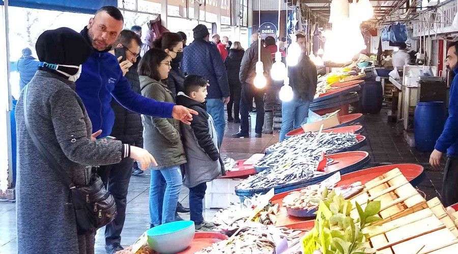 Balık halinde hamsi bolluğu yaşanıyor