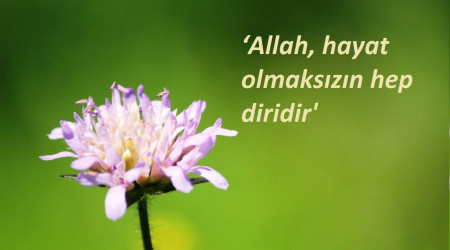 ‘Hayat olmaksızın hep diridir'