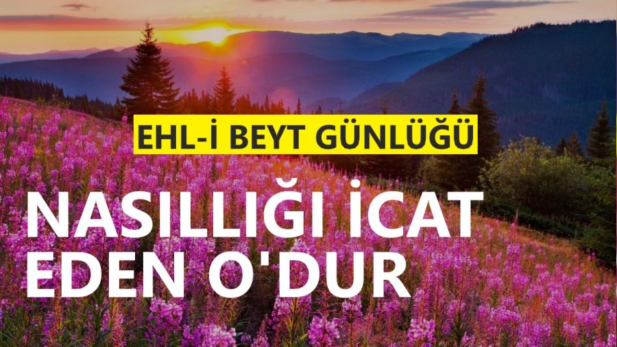 Nasll icat eden Odur