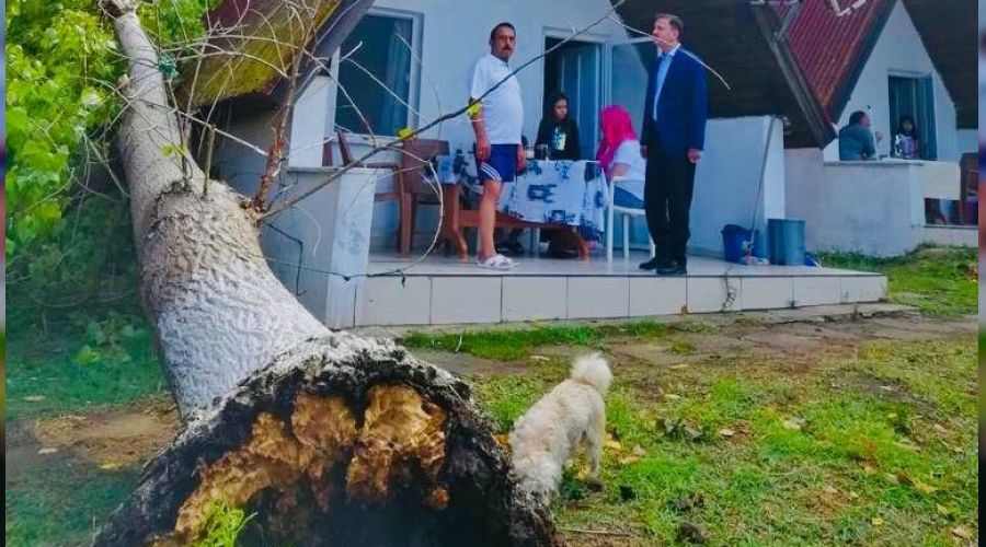 Sinop'ta hortum Özel İdare'yi vurdu