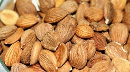 Kayısının çekirdeği de şifa deposu