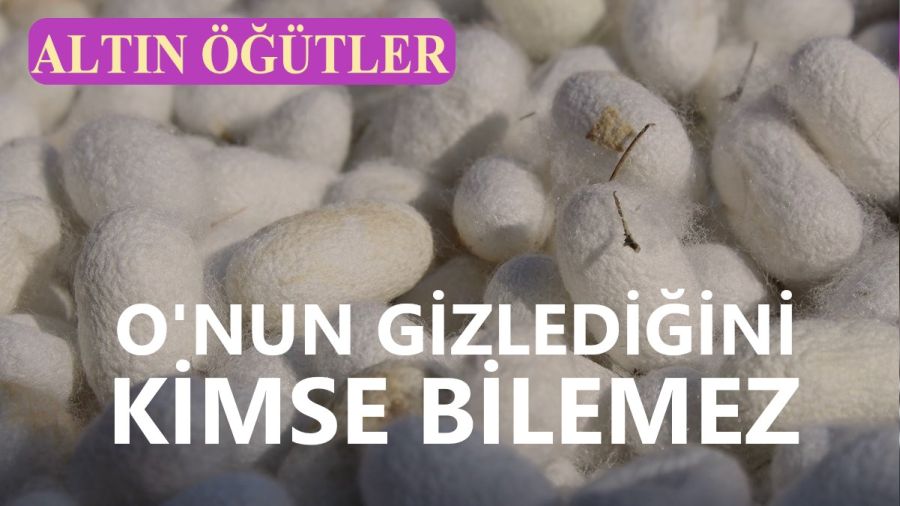 Onun gizlediini kimse bilemez