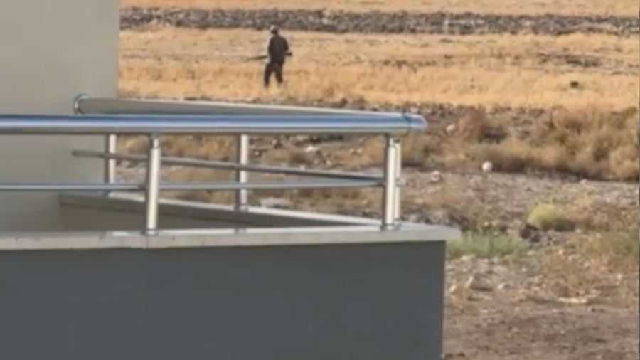 Tavuklarına zarar verdiğini iddia ettiği sokak köpeklerini vurdu