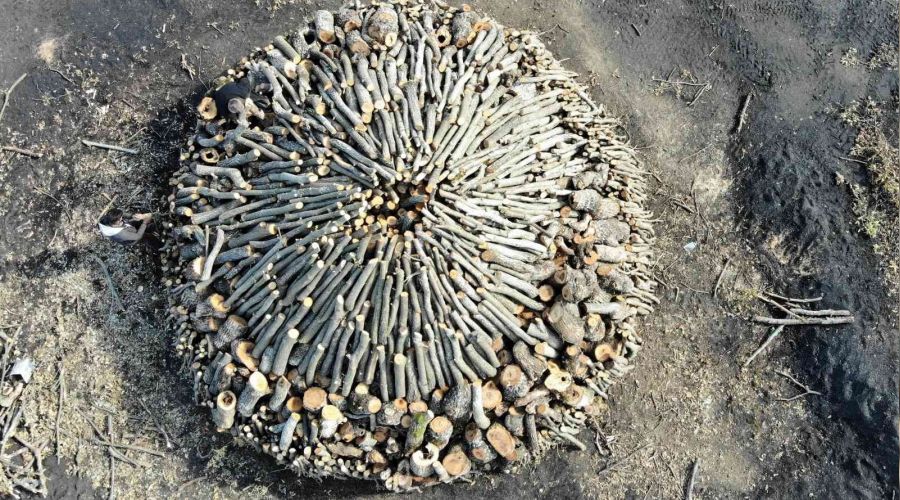 Bin 400 rakımda mangal kömürü mesaisi