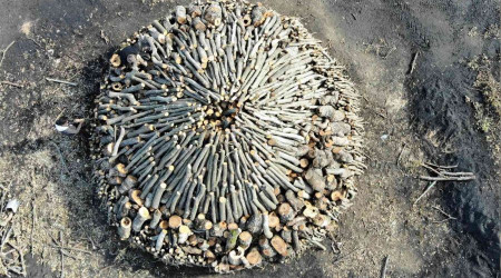 Bin 400 rakımda mangal kömürü mesaisi