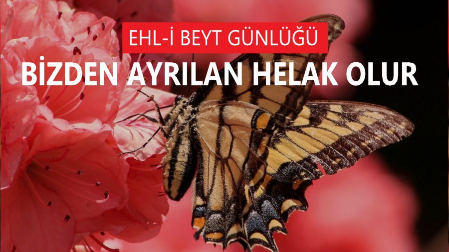 ‘Bizden ayrılan helak olur’