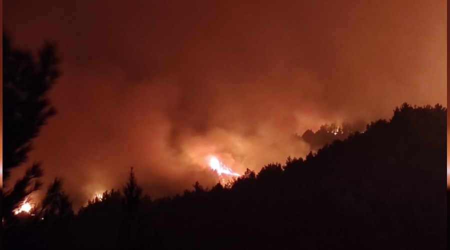 Hatay'da yangın tekrar alevlendi