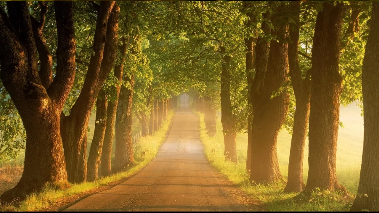 İmamların Kum’daki evlatları