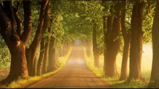 İmamların Kum’daki evlatları