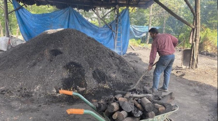 İstanbul'un mangal kömürü Şile'den
