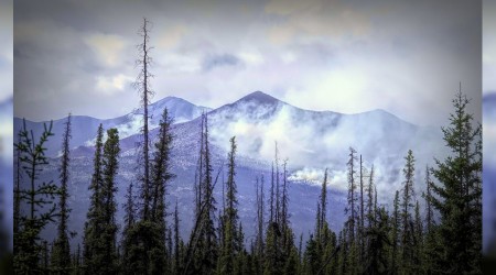 ‘Onu cehaletiyle baş başa bırakın!’