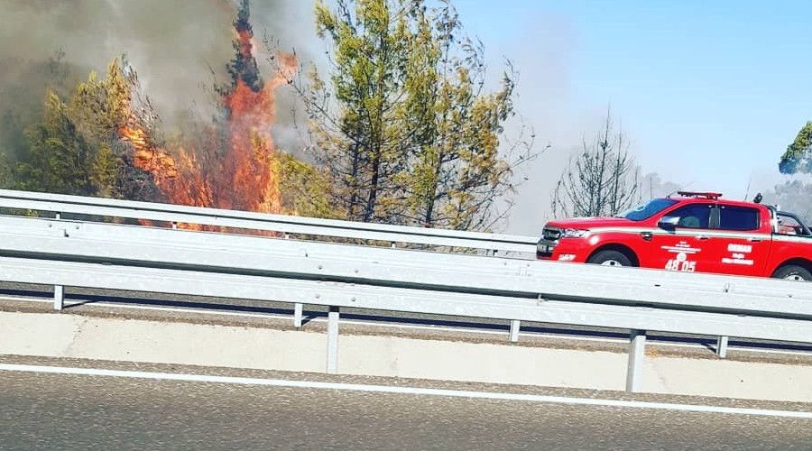 Ortaca'da ormanlık alanda çıkan yangın kontrol altına alındı