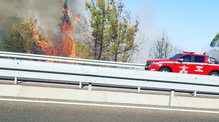 Ortaca'da ormanlık alanda çıkan yangın kontrol altına alındı