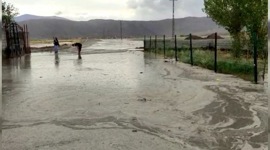 Ağrı'da sağanak yağış sele neden oldu