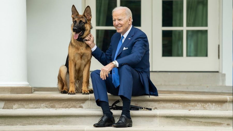 Biden'ın köpeği, Beyaz Saray'dan uzaklaştırıldı