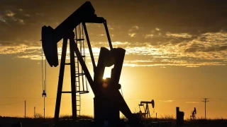 Brent petrolün varili 111,57 dolar