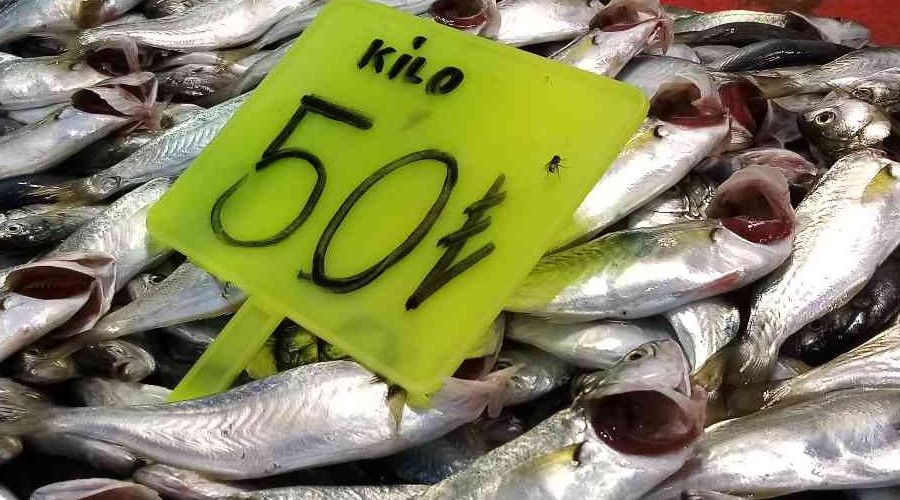 Çinekop kırmızı et ile yarışıyor