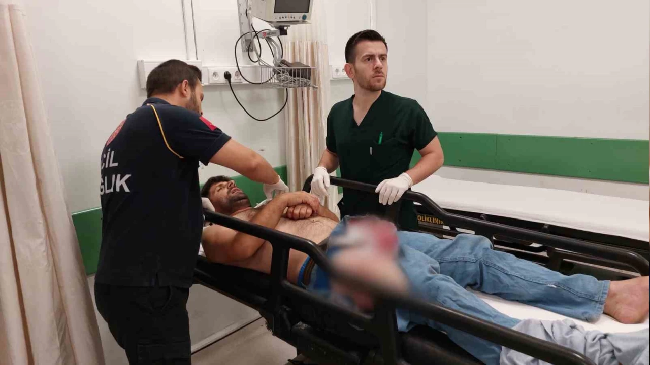 Köpeğin saldırısına uğrayan şahıs ölümden döndü