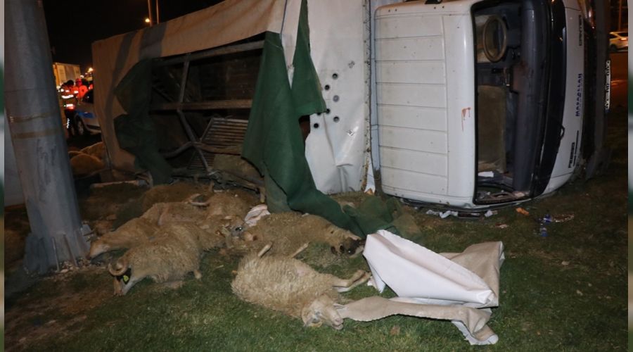 Kütahya'da kamyonet devrildi, 1 kişi yaralandı