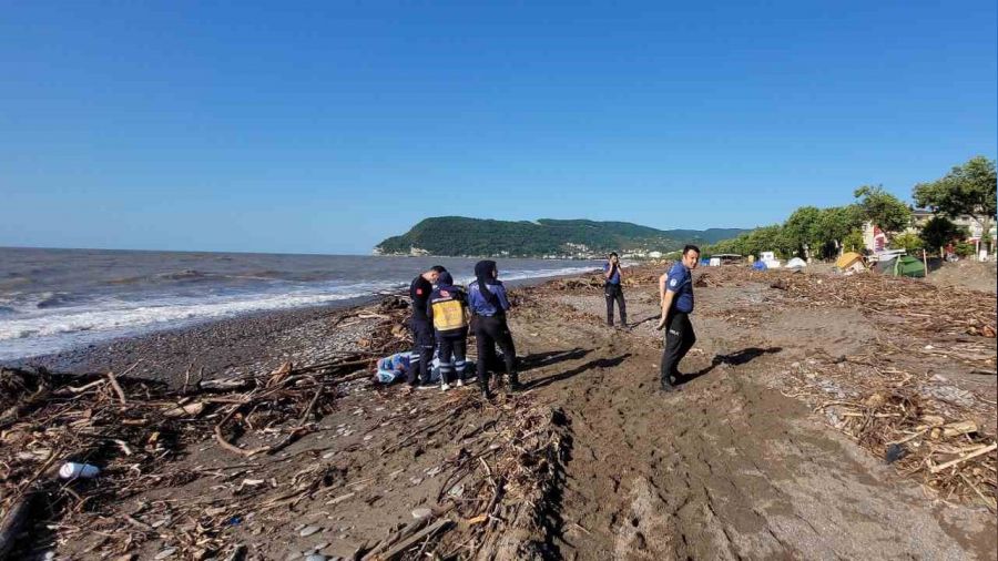 Odun toplamak için gitti, cansız bedeni bulundu