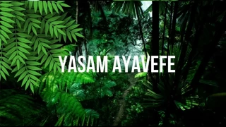 Yaam Ayavefe'nin Yallar in Sosyal Aktivite Programlar