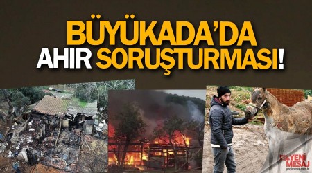 9 atın telef olduğu yangına soruşturma