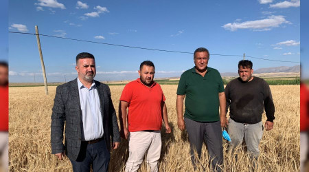 Arpada ithalat tam gaz