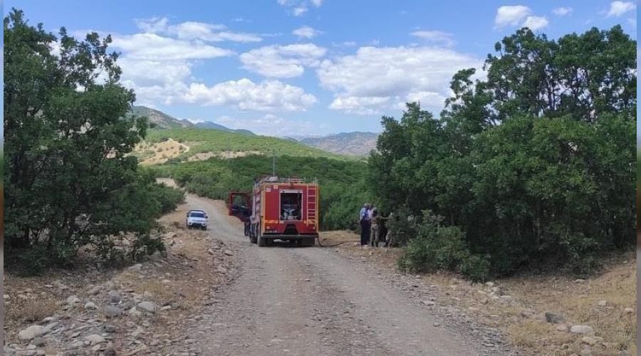 Bingöl'deki orman yangını kontrol altına alındı
