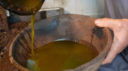 Doğanın iksiri zeytin sütü