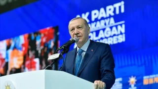 Erdoan: Esad pln prtsn toplayp bir gecede kamak zorunda kald