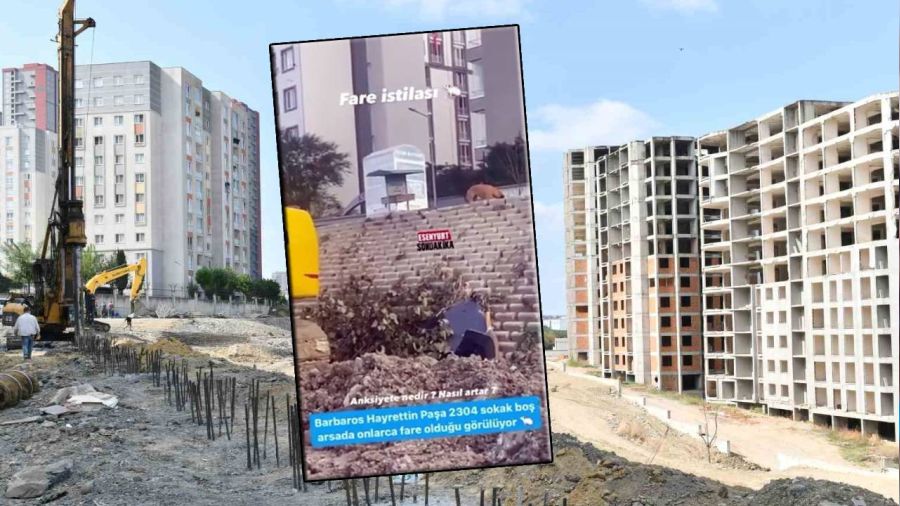 Esenyurt Belediyesi'nden 'fare istilası' görüntülerine ilişkin açıklama