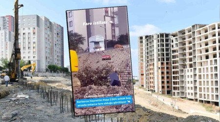 Esenyurt Belediyesi'nden 'fare istilası' görüntülerine ilişkin açıklama