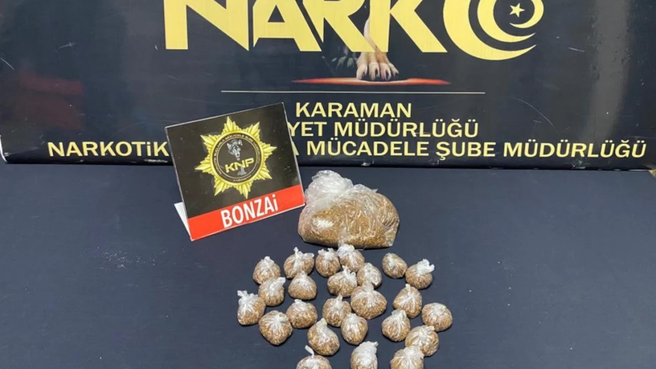 Evinde bonzai ve hassas terazi ele geçirilen şahıs tutuklandı