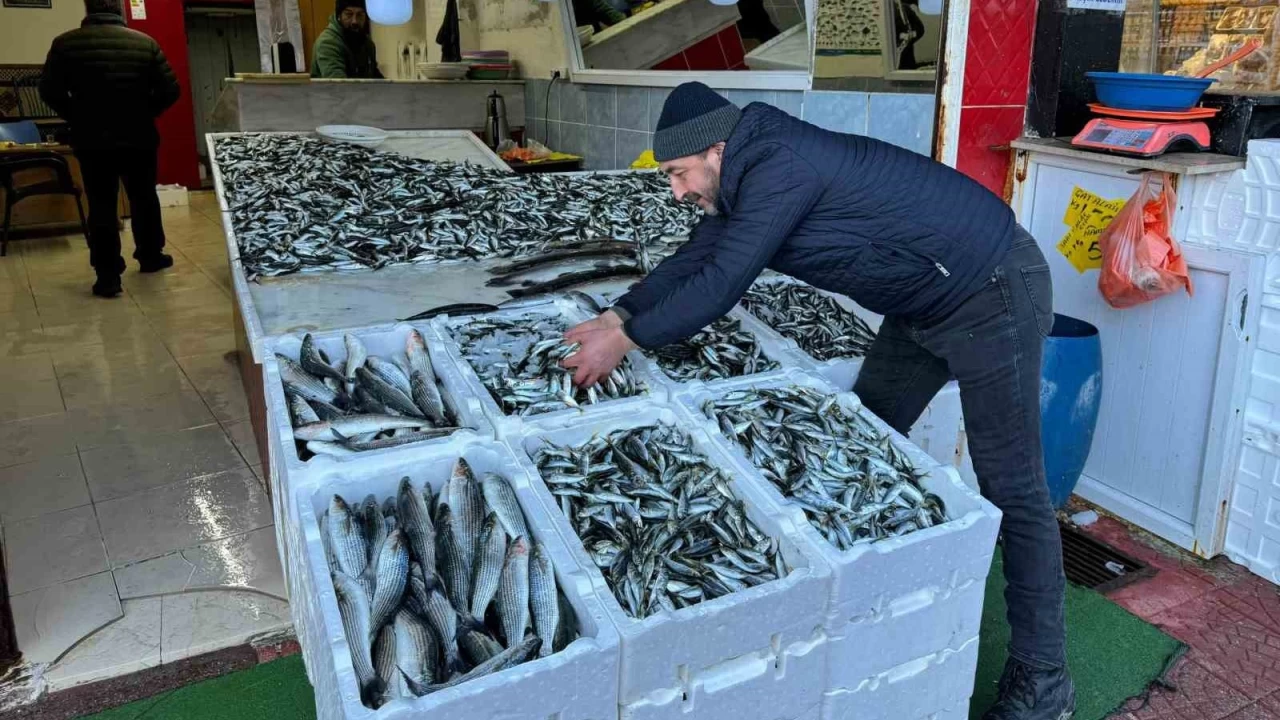 Hamsi tezgahtaki krallığını istavrite kaptırdı