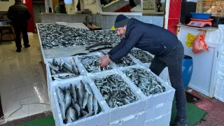 Hamsi tezgahtaki krallığını istavrite kaptırdı