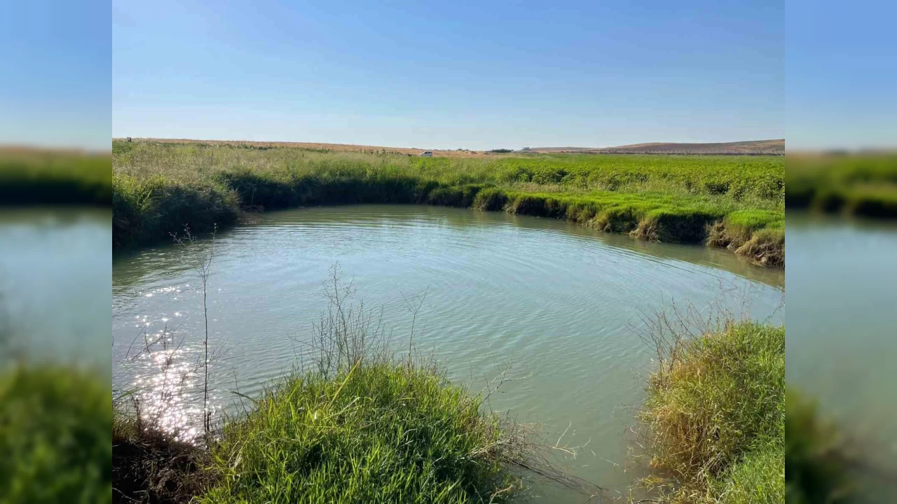 Harran Ovası'nda dev obruklar oluşuyor