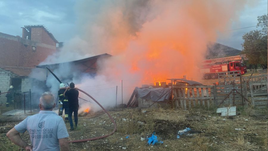 Isparta'da 500 balya saman yandı