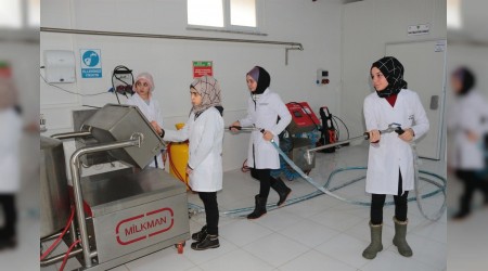 Mandıra değil meslek lisesi