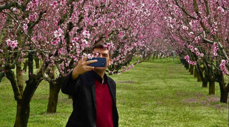 Meyve bahçeleri fotoğraf stüdyosuna döndü