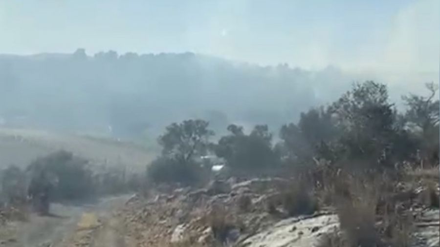 Milas'ta 50 dönüm zeytinlik alan yangında zarar gördü