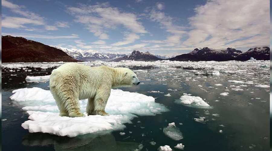 Rusya en sıcak yılını yaşadı