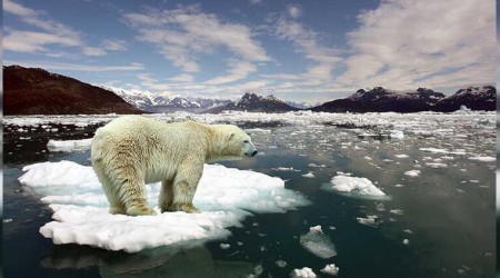 Rusya en sıcak yılını yaşadı